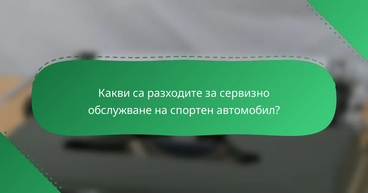 Какви са разходите за сервизно обслужване на спортен автомобил?
